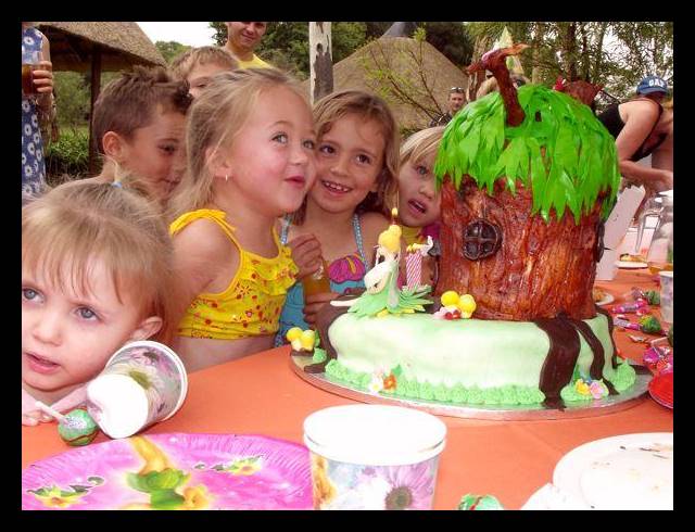 FARM FOR SALE IN ALSEF